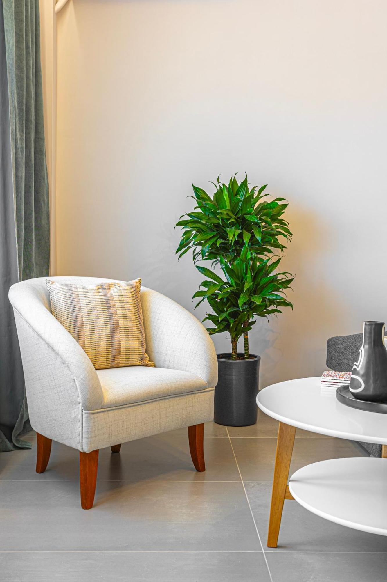 Luxury By The Sea- Euripus Strait Apartment